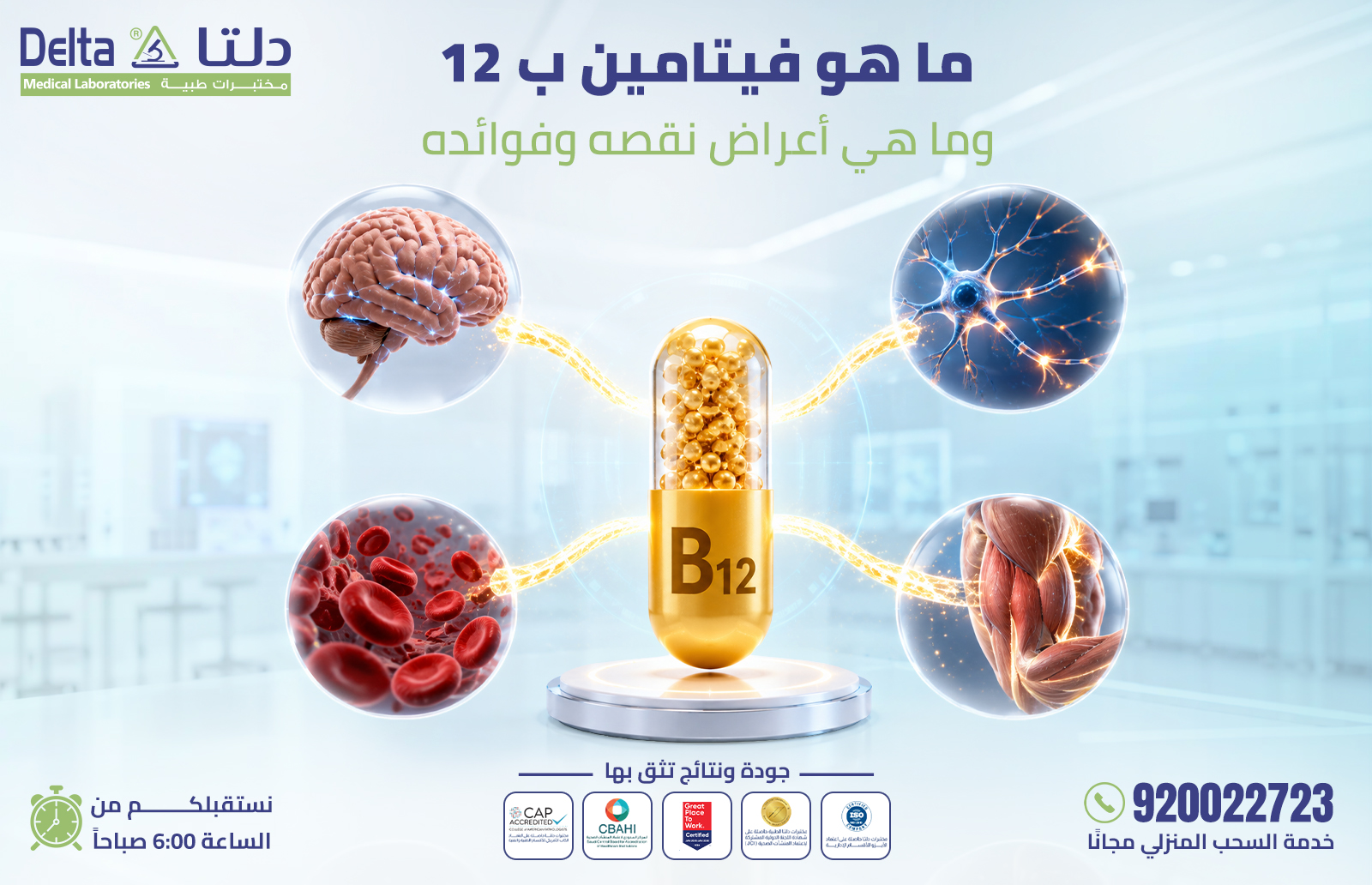 فيتامين ب 12
