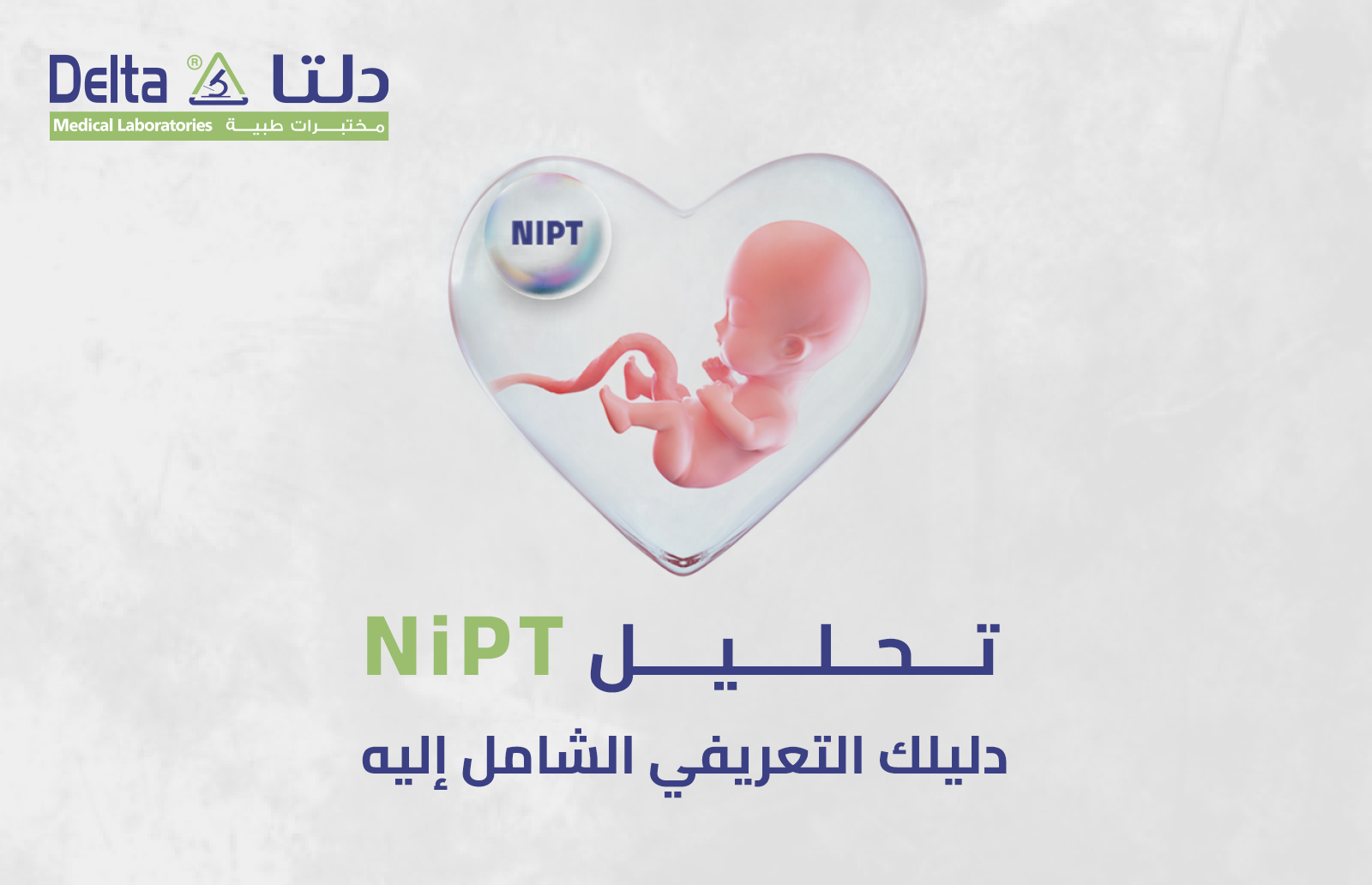  NIPT 