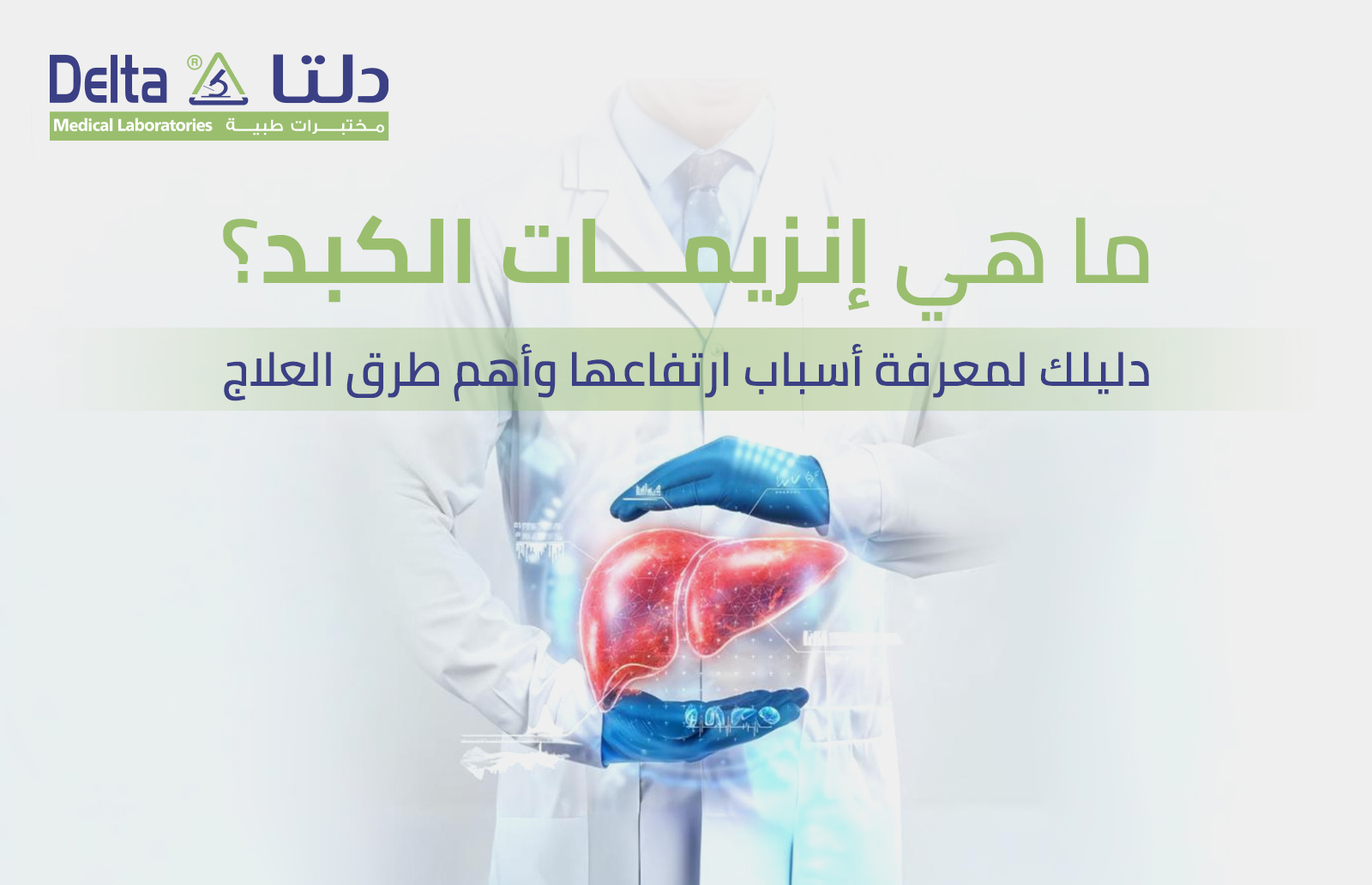 ما هي انزيمات الكبد؟ دليلك لمعرفة أسباب ارتفاعها