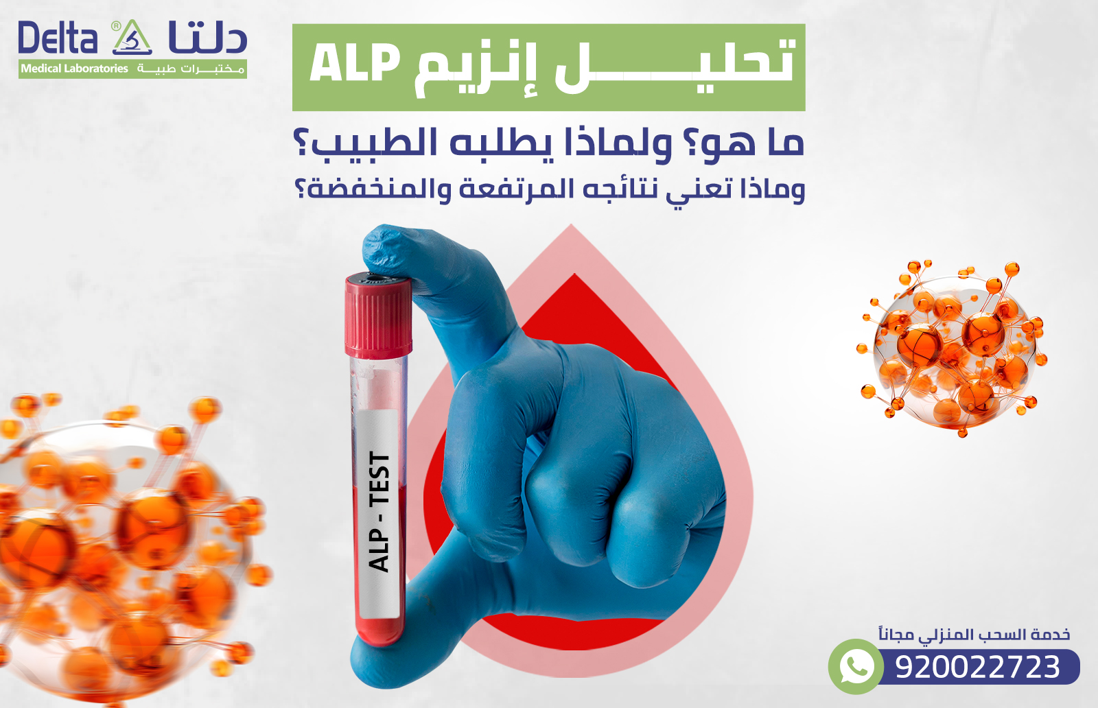 تحليل ALP: ما هو؟ ولماذا يطلبه الطبيب؟ وماذا تعني نتائجه المرتفعة والمنخفضة؟