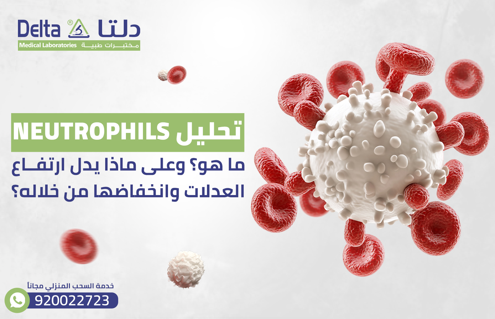 تحليل neutrophils: ما هو؟ وعلى ماذا يدل ارتفاع العدلات وانخفاضها من خلاله؟