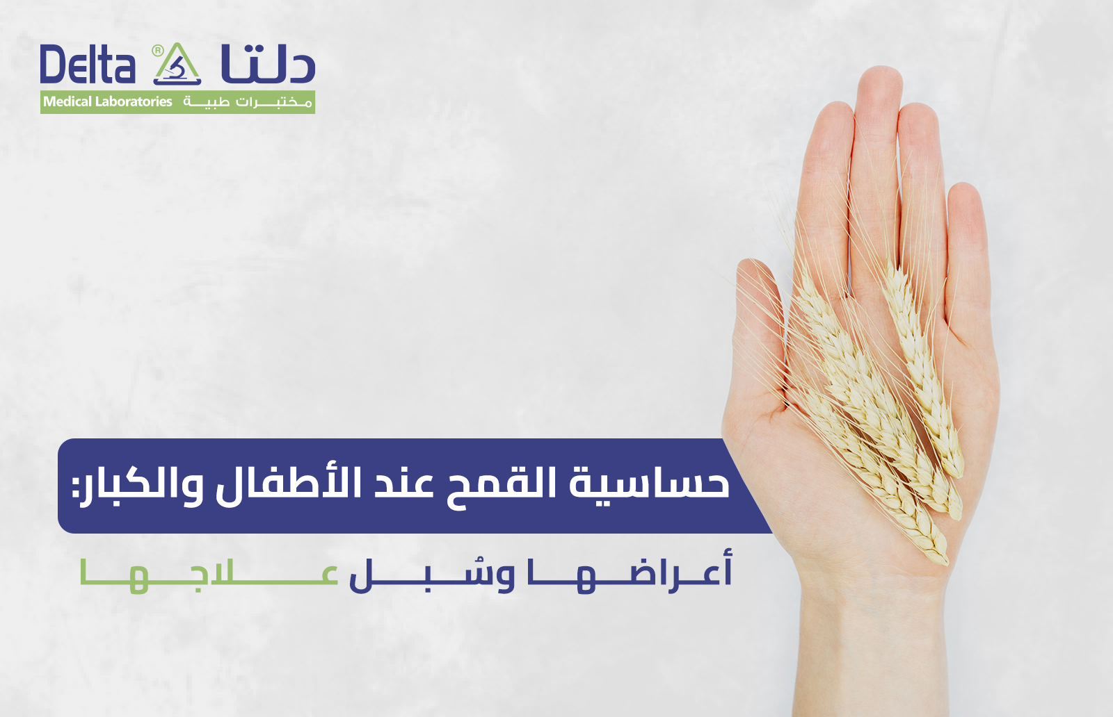 حساسية القمح عند الأطفال والكبار: أعراضها وسُبل علاجها