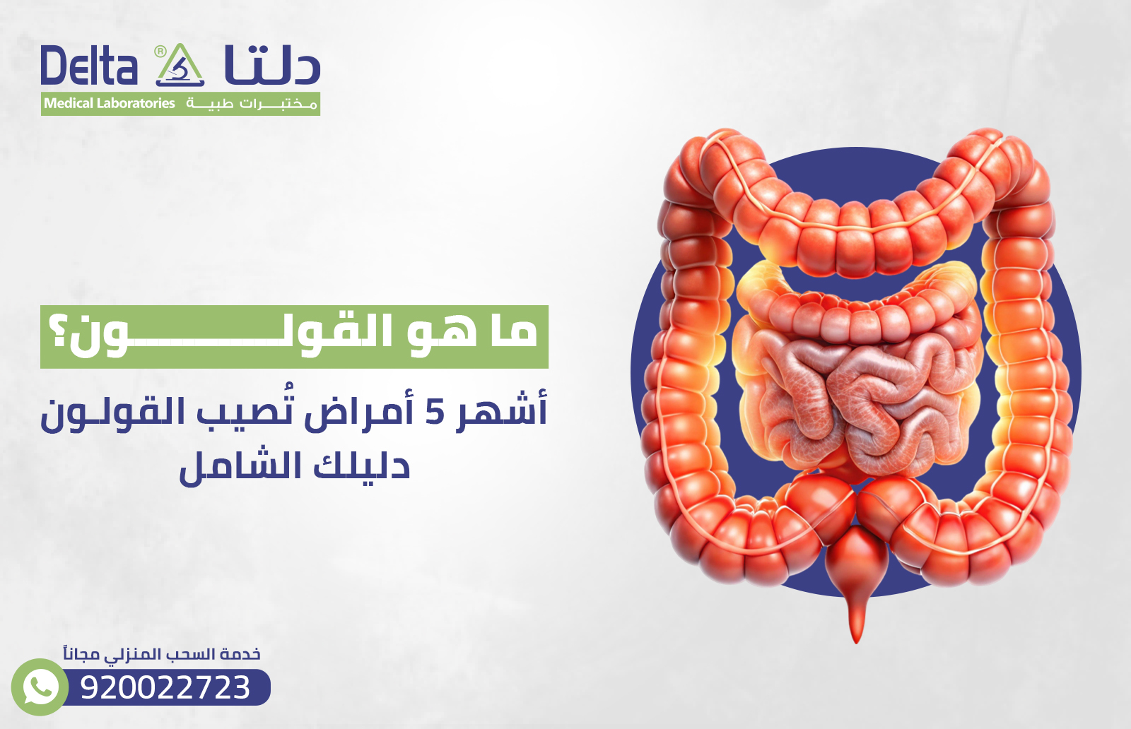 ما هو القولون؟ أشهر 5 أمراض تُصيب القولون: دليلك الشامل
