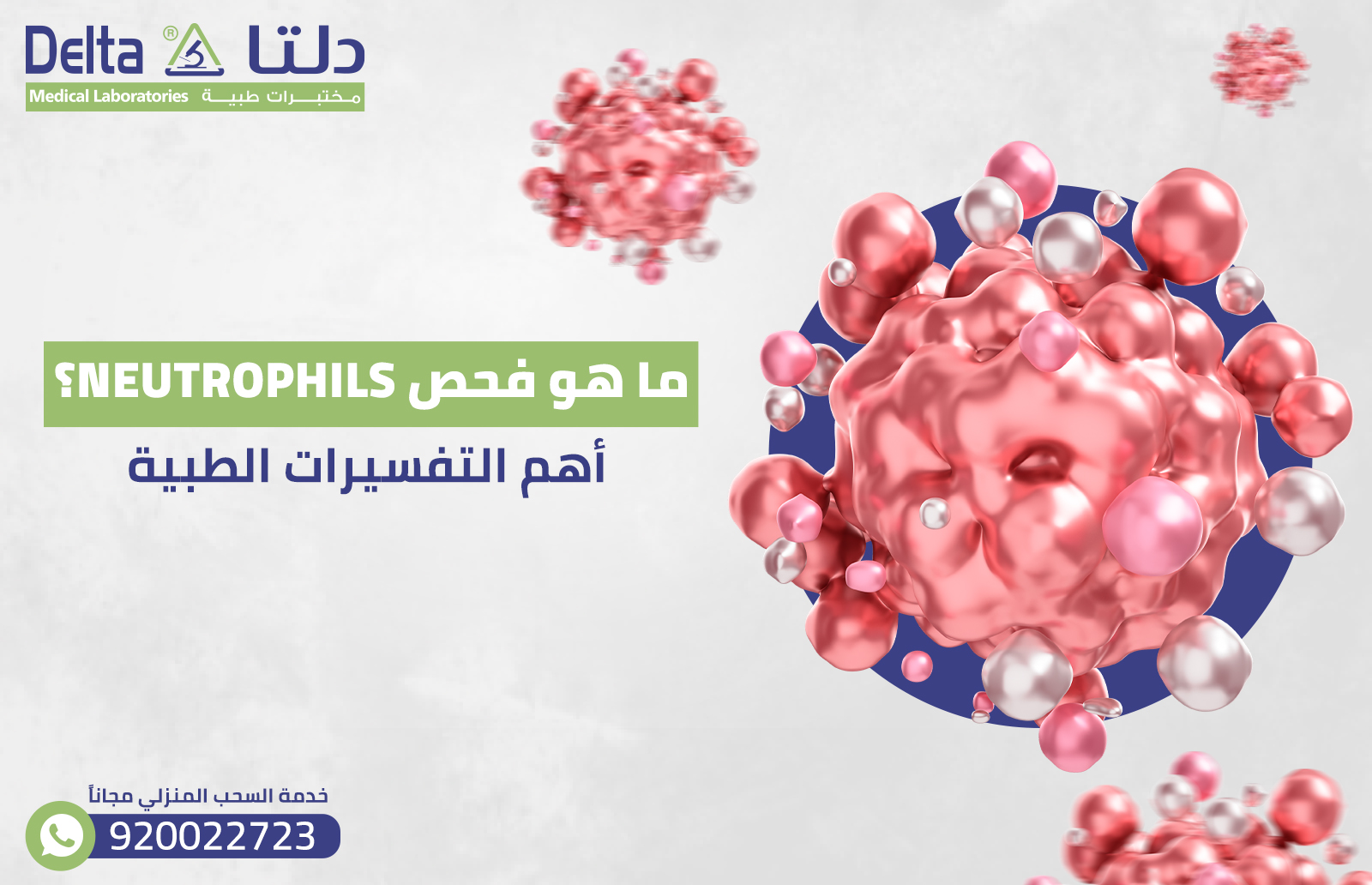 ما هو فحص Neutrophils؟| أهم التفسيرات الطبية