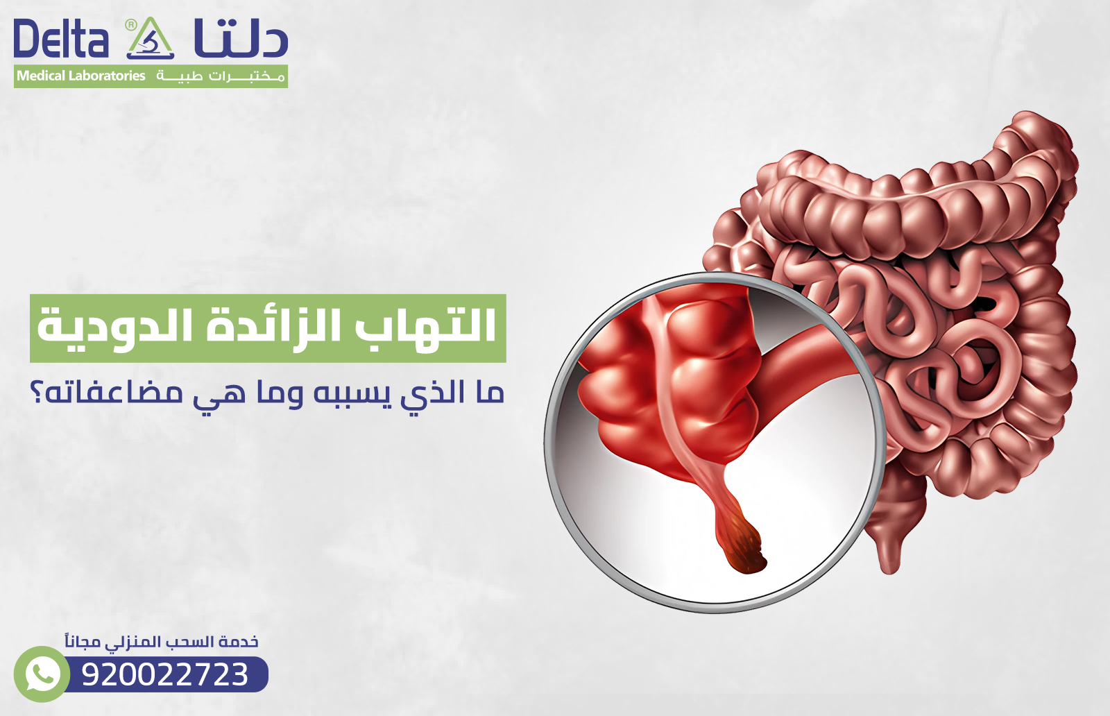 التهاب الزائدة الدودية : ما الذي يسببه وما هي مضاعفاته؟