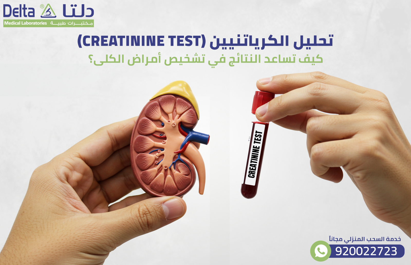 تحليل الكرياتينين Creatinine Test كيف تحسن نتائج أمراض الكلى