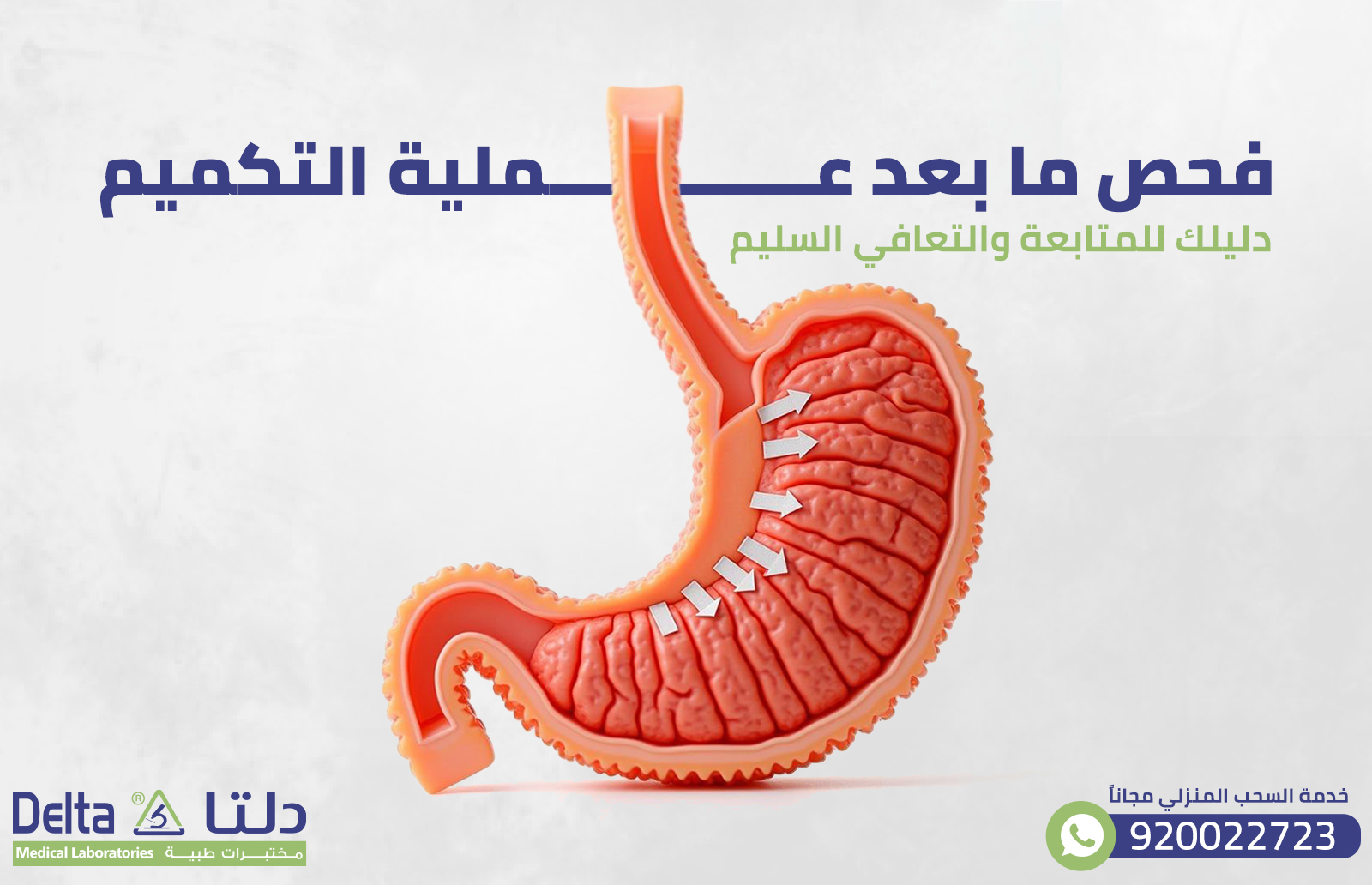 فحص ما بعد عملية التكميم: دليلك للمتابعة والتعافي السليم