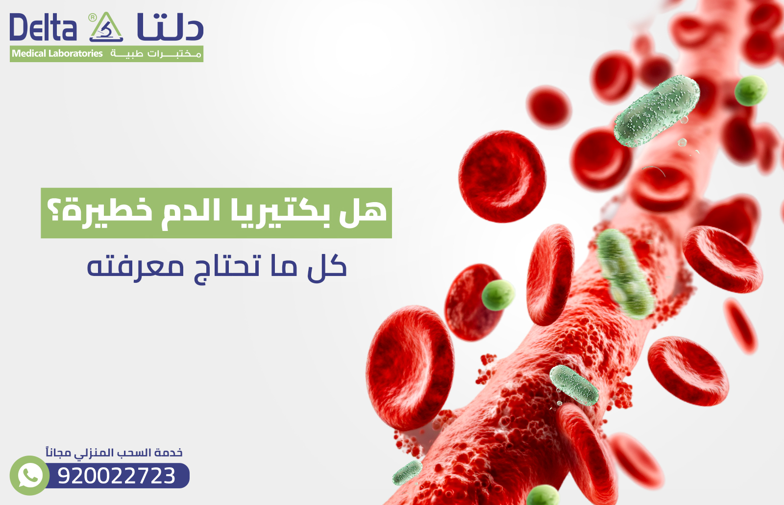 هل بكتيريا الدم خطيرة ؟ كل ما تحتاج معرفته