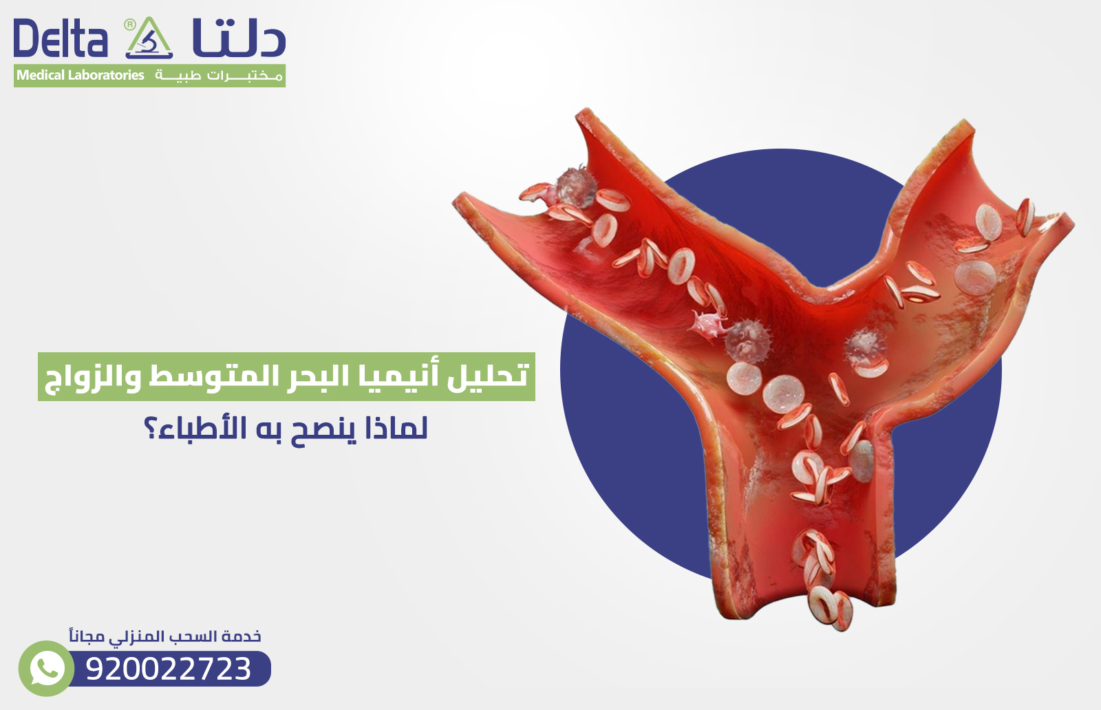 تحليل أنيميا البحر المتوسط والزواج: لماذا ينصح به الأطباء؟