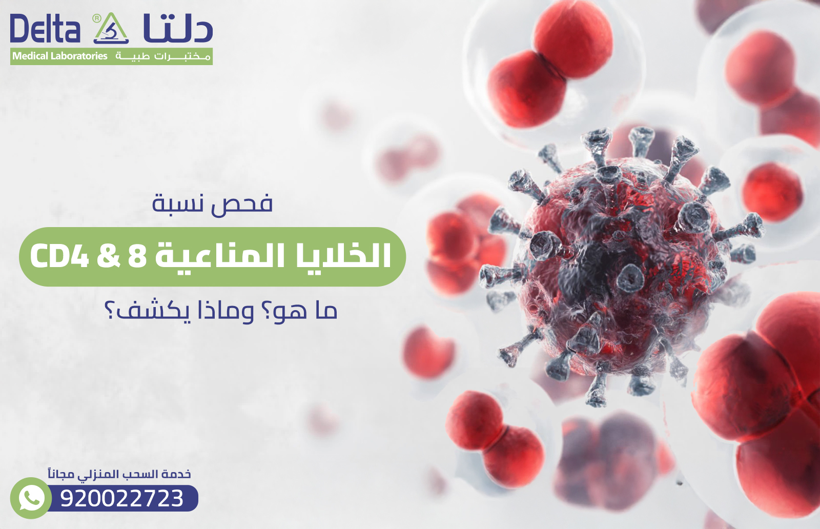 فحص نسبة الخلايا المناعية CD4 & 8: ما هو؟ وماذا يكشف؟