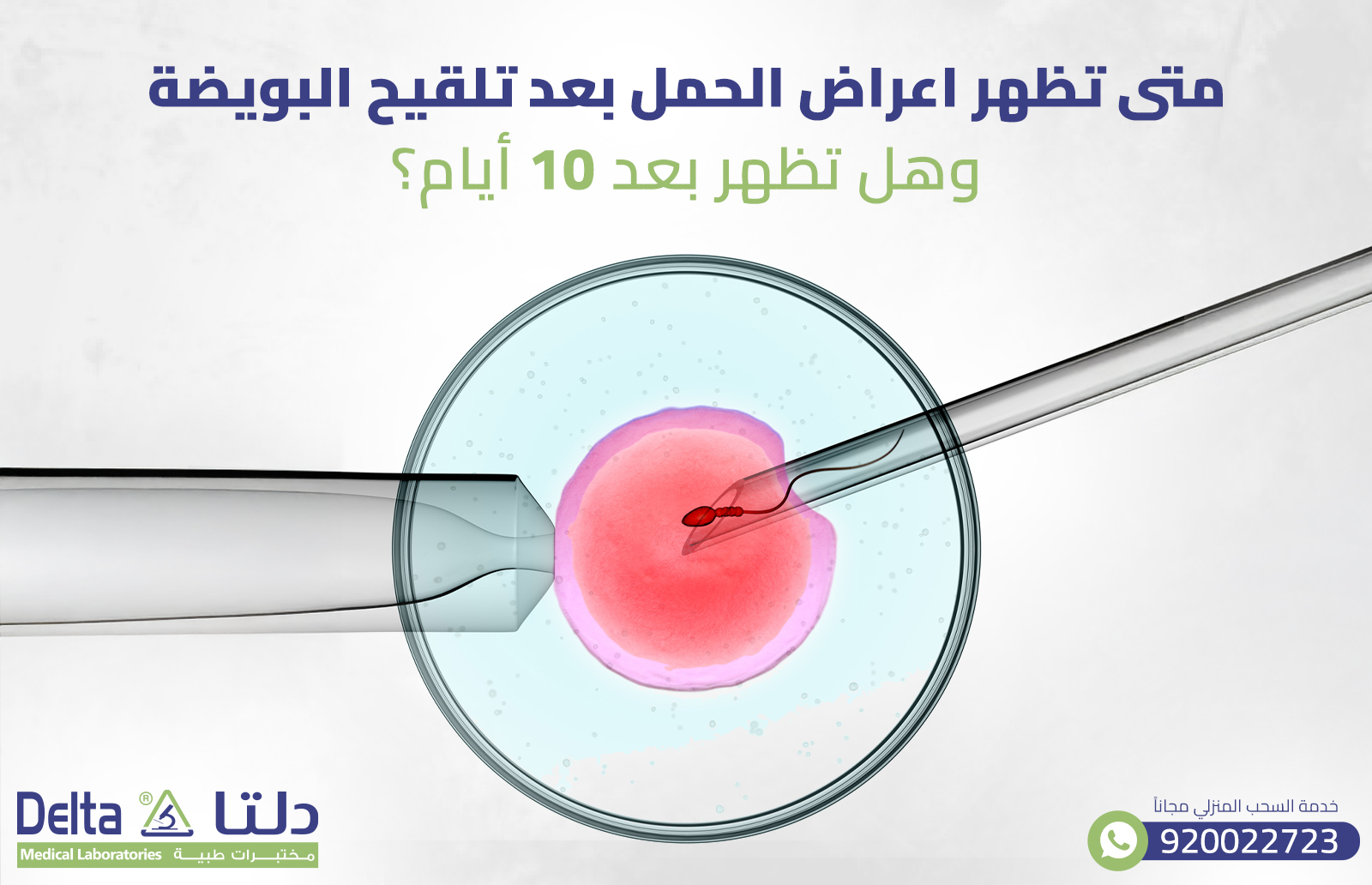 متى تظهر اعراض الحمل بعد تلقيح البويضة؟ وهل تظهر بعد 10 أيام؟