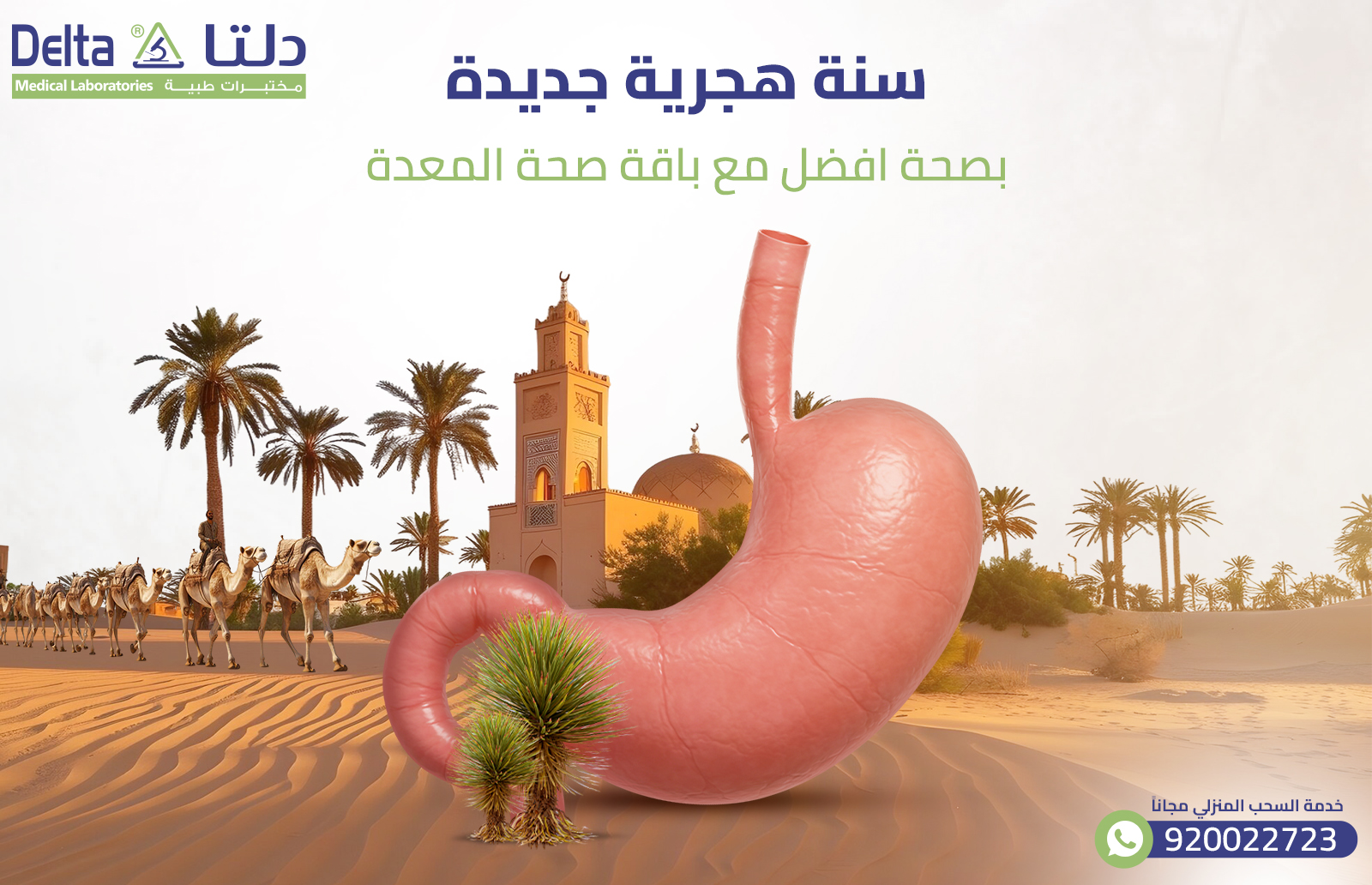 سنة هجرية جديدة بصحة افضل مع باقة صحة المعدة