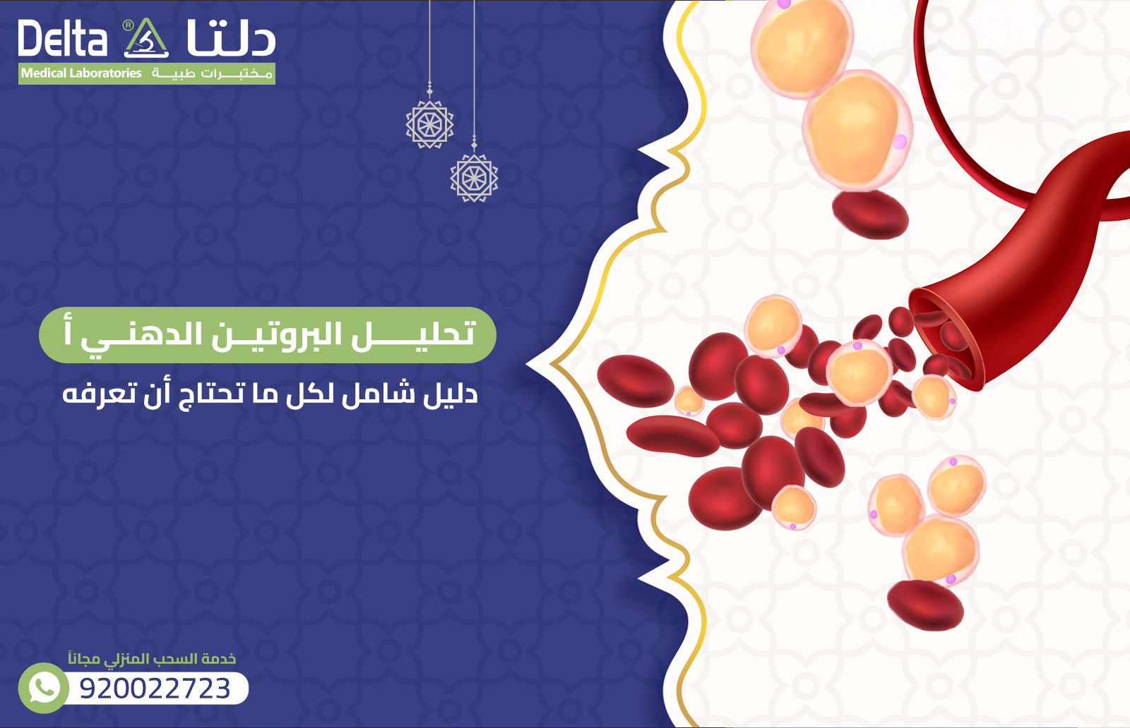 تحليل البروتين الدهني أ: دليل شامل لكل ما تحتاج أن تعرفه