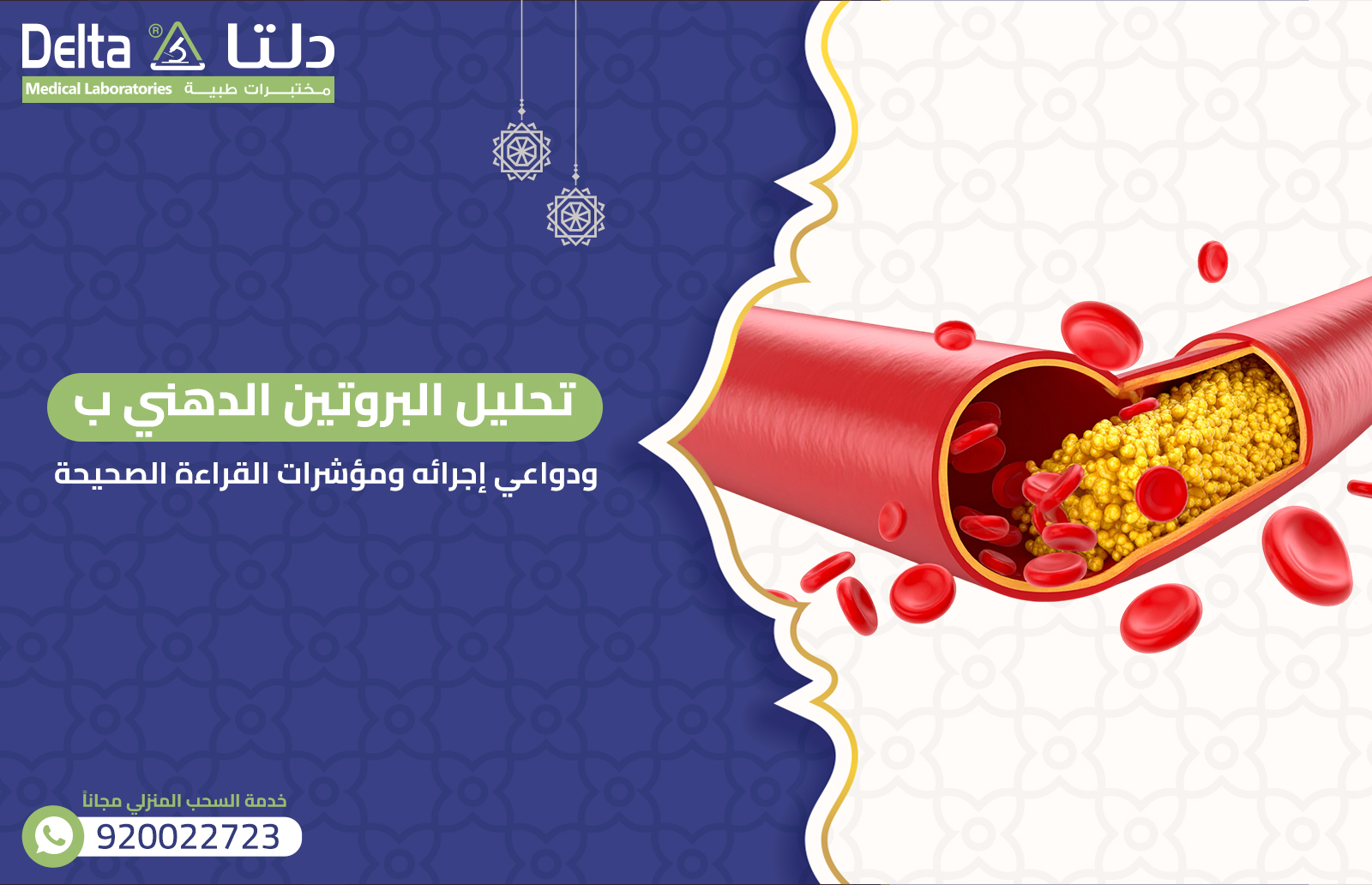 تحليل البروتين الدهني ب