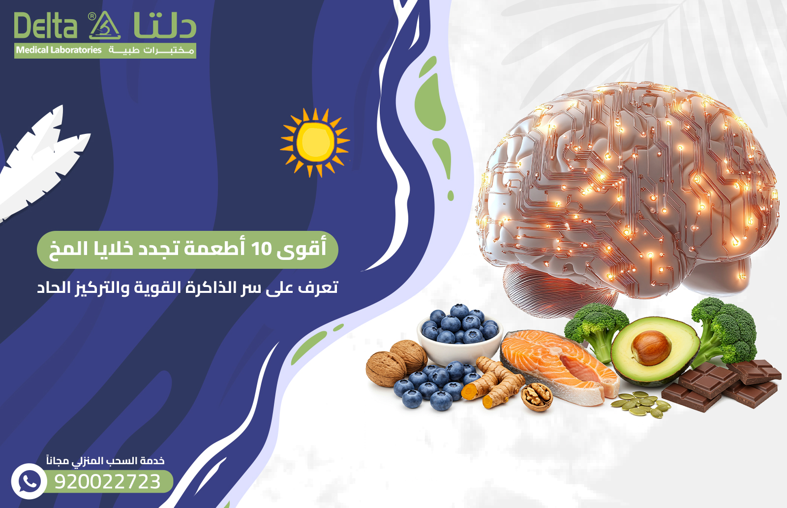 أقوى 10 أطعمة تجدد خلايا المخ