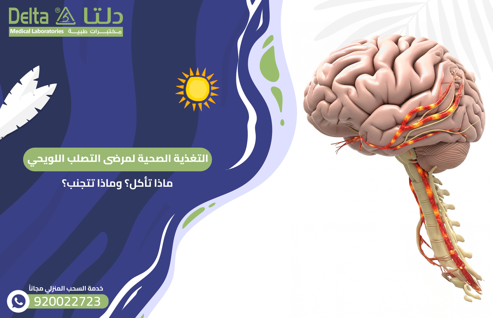التغذية الصحية لمرضى التصلب اللويحي: ماذا تأكل؟ وماذا تتجنب؟