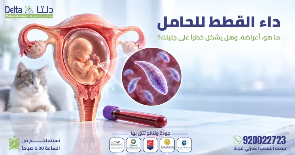 داء القطط للحامل: ما هو، أعراضه، وهل يشكل خطراً على جنينك؟