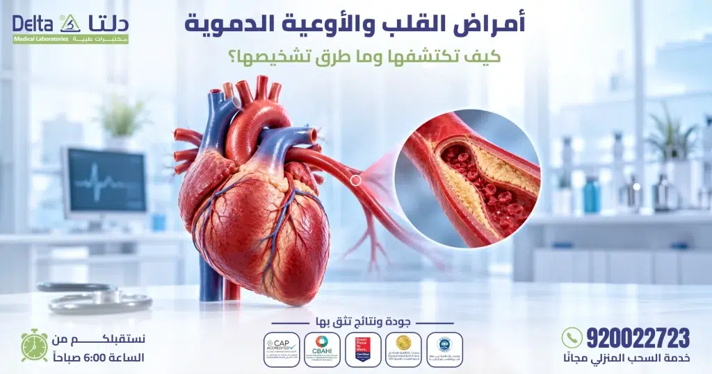 صحة القلب والأوعية الدموية دليل أساسي لحياة صحية طول العمر