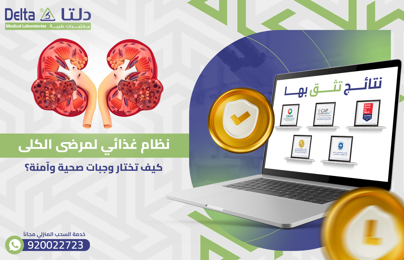 نظام غذائي لمرضى الكلى