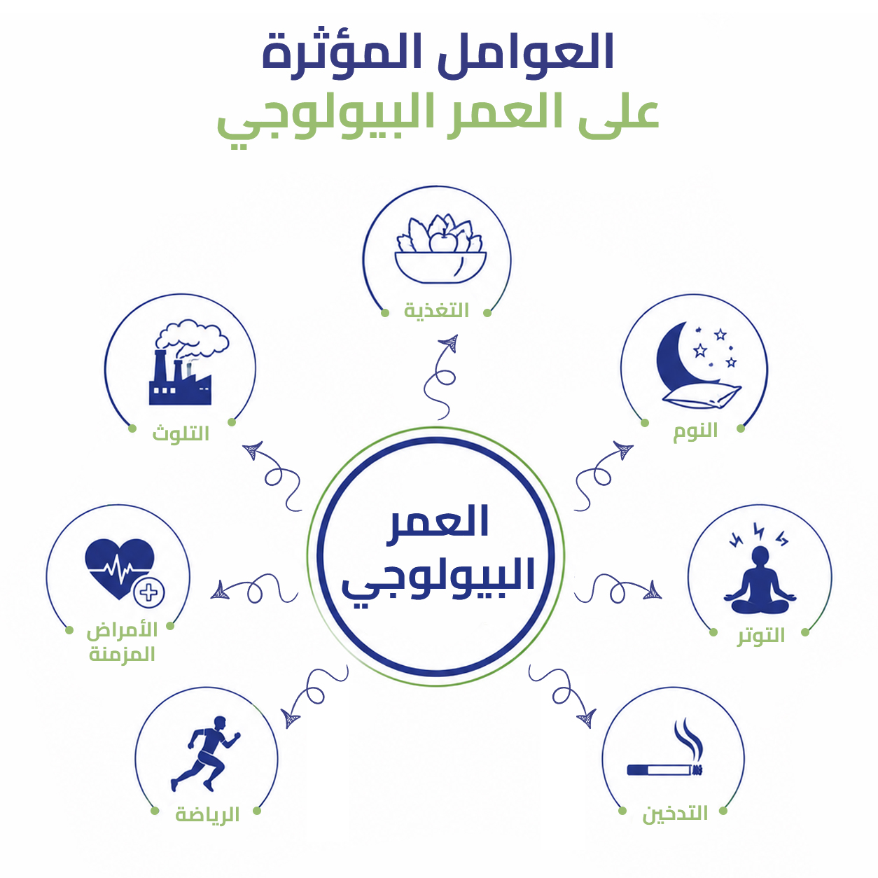 العمر البيولوجي