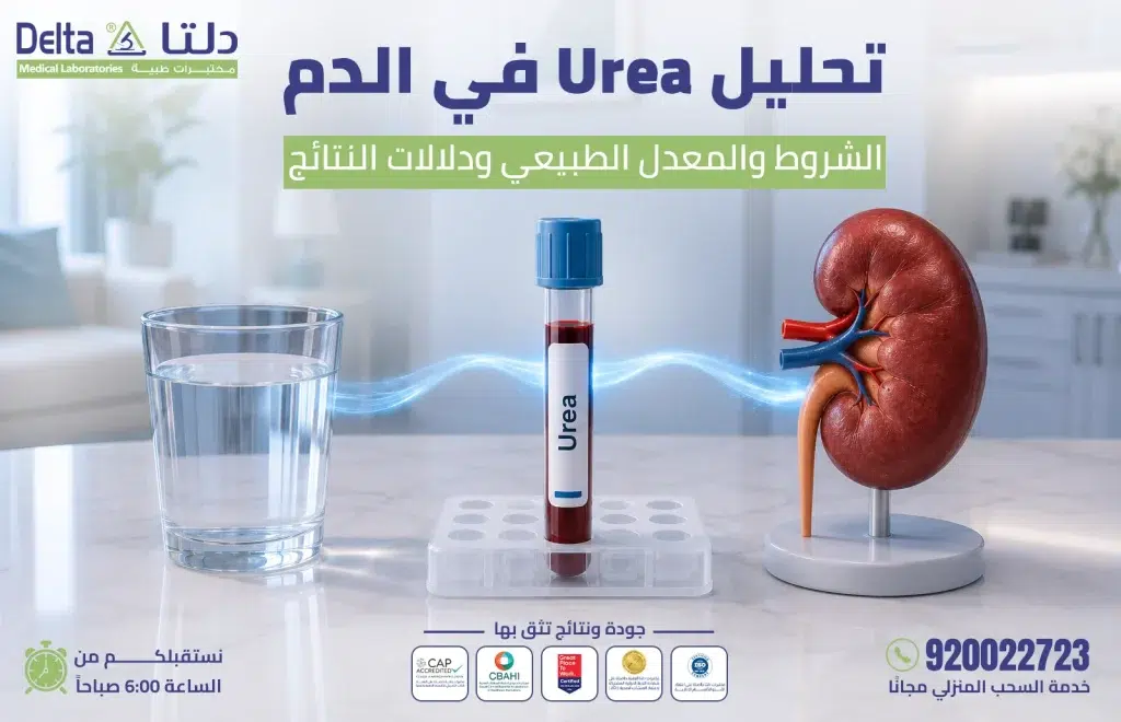 تحليل urea في الدم وتقييم وظائف الكلى