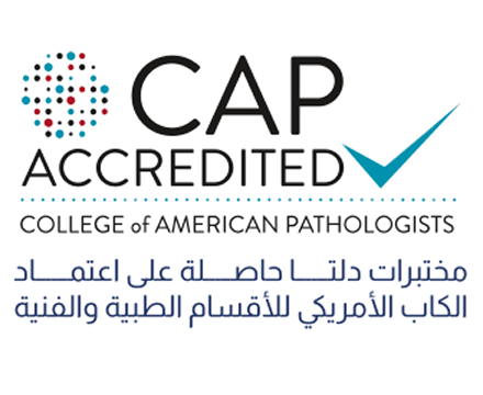 Screenshot 2026 02 07 at 4.57.56 PM 4