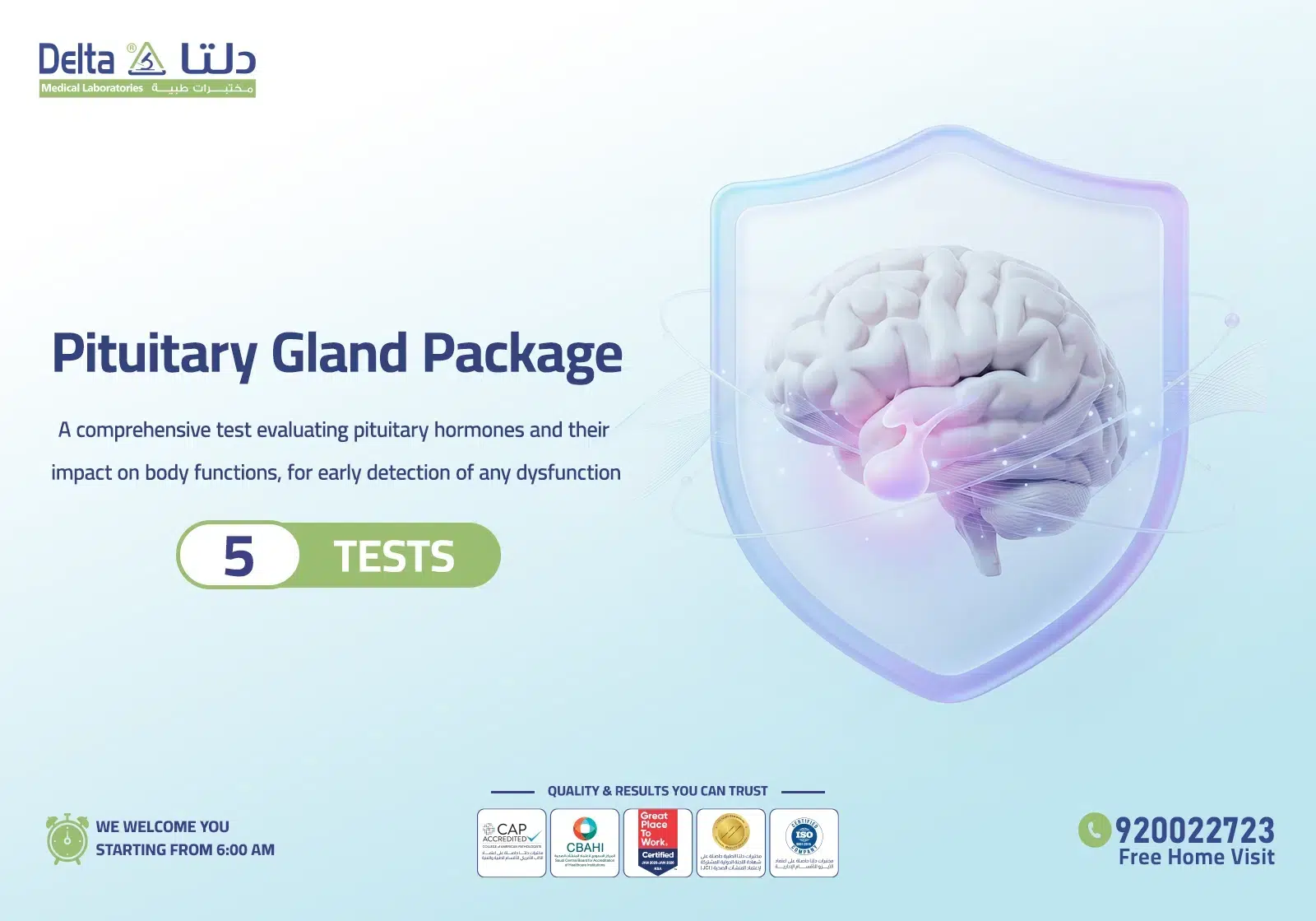 Pituitary Gland