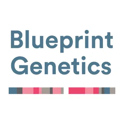 blueprint-500-white
